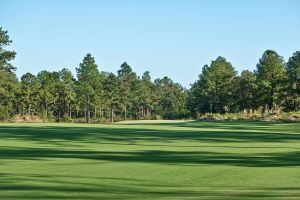 Tree Farm 12th Approach